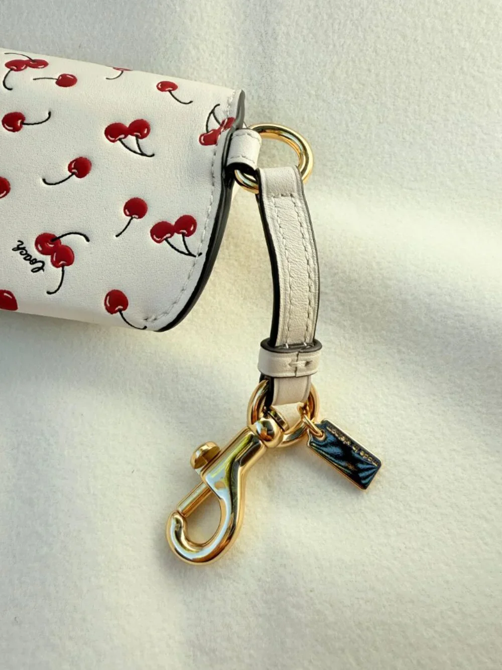 coach Sunglass Case With Cherry Print cfa49